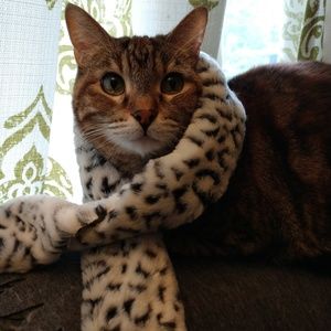 Meet your Posher, Breanna